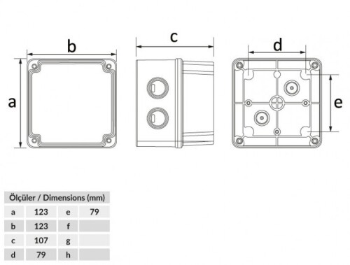 Bemis BB1-1131-0053 Opak Vidalı Kapak IP44 Plastik Buat (110x110x100) - 2