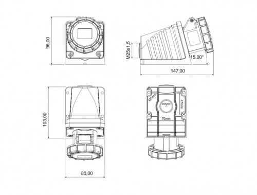 Bemis BC1-1102-7535 CEE Norm IP67 24V 90° Eğik Duvar Priz - 2