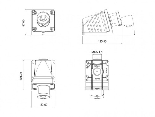 Bemis BC1-1303-2236 CEE Norm IP44 110V-150V 90° Eğik Duvar Fiş - 2