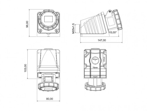 Bemis BC1-1303-7535 CEE Norm IP67 110V-150V 90° Eğik Duvar Priz - 2