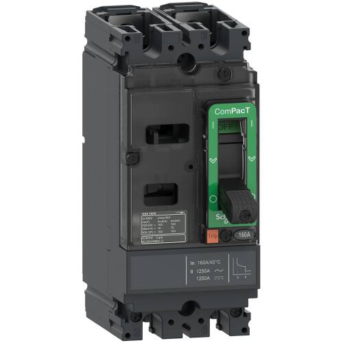 Schneider Electric C16F2TM160 Compact Şalter Nsx160F 18Ka AcDc 2P 160A Tmd - 1