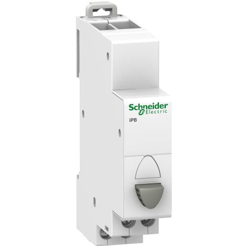 Schneider Electric A9E18030 Acti9 iPB 1NK Gri Tek Basmalı Düğme - 1